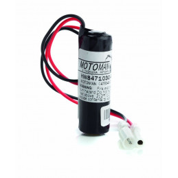 CHRONO Pile lithium ER14505 -3.6V - 2600mAh + Connecteur 